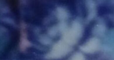 Arn-Identified Flying Object and Alien Friends - Vagnar av guld