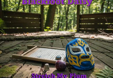 Blackfoot Daisy - Stretch my Plum