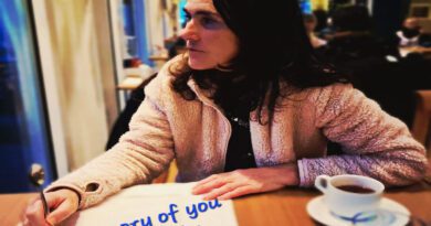 Deidre Mc Gerty - The memory of you