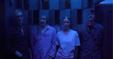 Deltawelle - Schatten