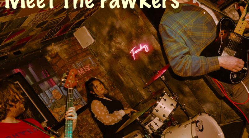 Meet The Fawkers - Too mean To Die