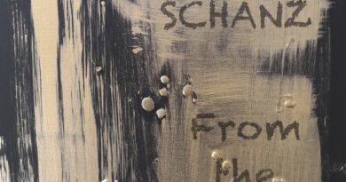 SCHANZ - From The Attic