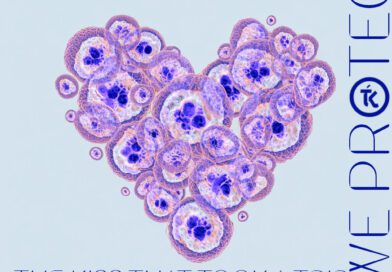 The Kiss That Took A Trip - We are what we protect