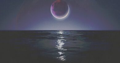 joseph_turner_dudes_of_hazard_cover_art_2400_square